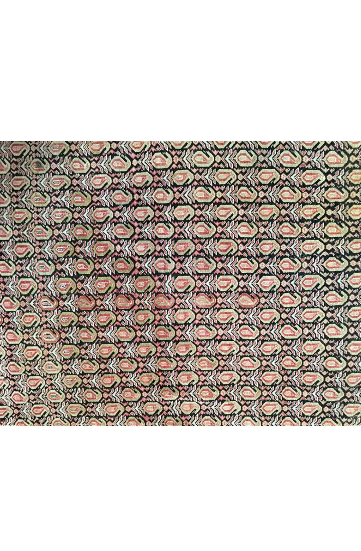 A Sensational Antique Persian Seneh Area Rug